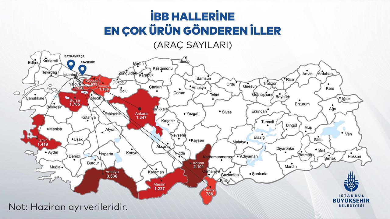 Yalova Yas Meyve Sebze Hal Istanbul (1)