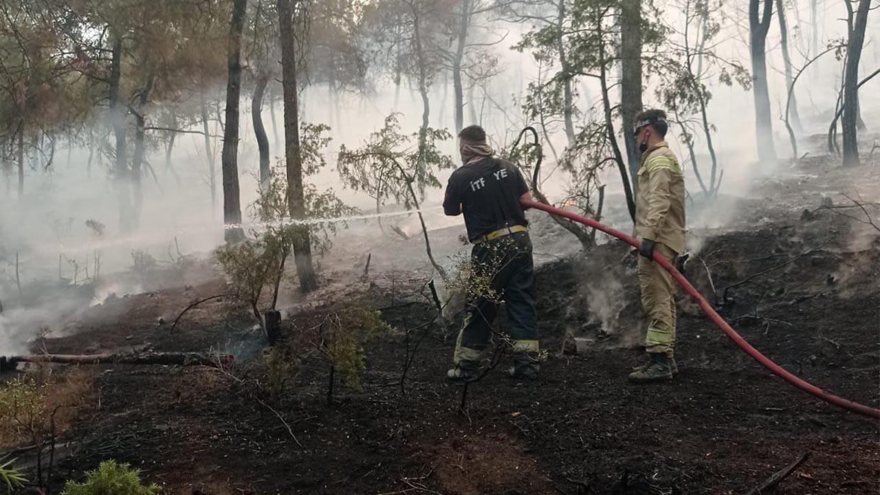 Yalova Altinova Itfaiye Destek Yangin (2)
