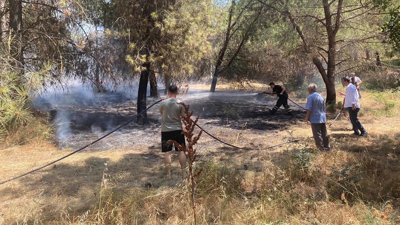 Yalova Altinova Subasi Yangin Sondurme Mudahale (3)