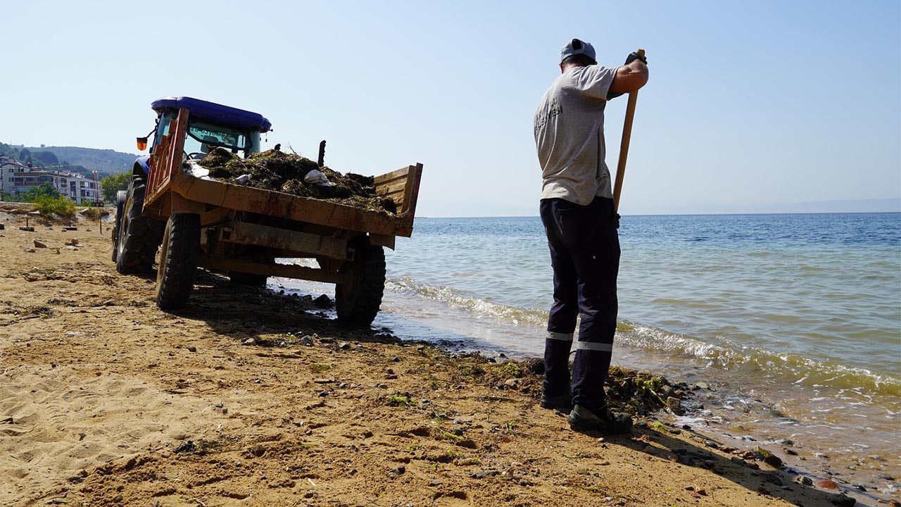 Yalova Armutlu Kiyi Temzlik Deniz Plaj Sahil Kum Kumsal (1)