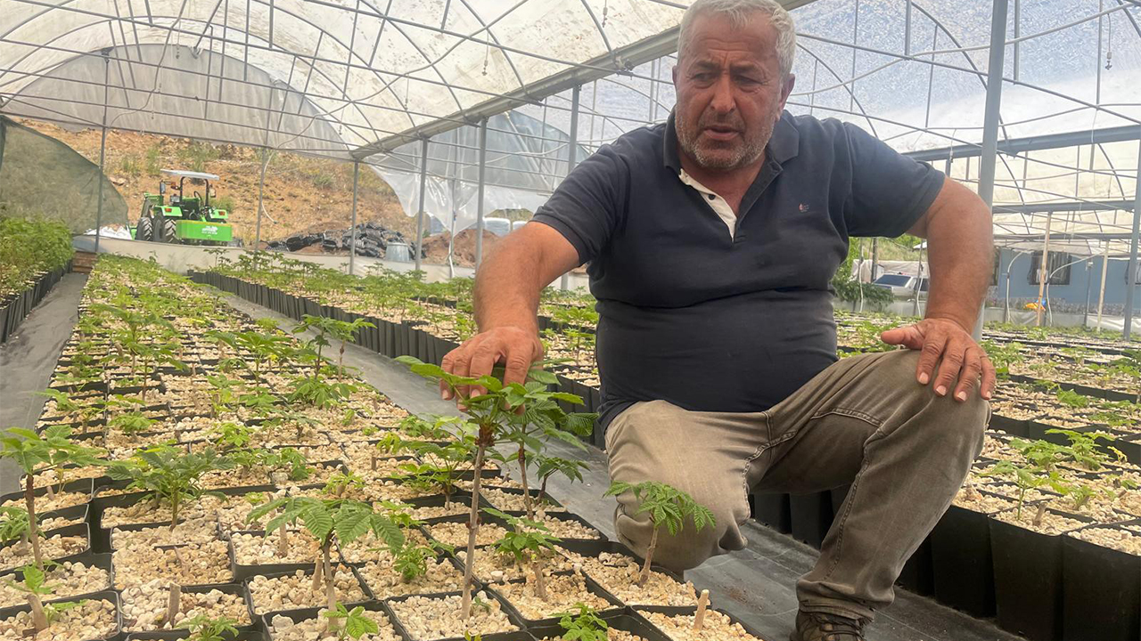Yalova Bursa Keles Ihlamur Fidan Tarim Ciftcilik Uretim Girisimcilik (3)