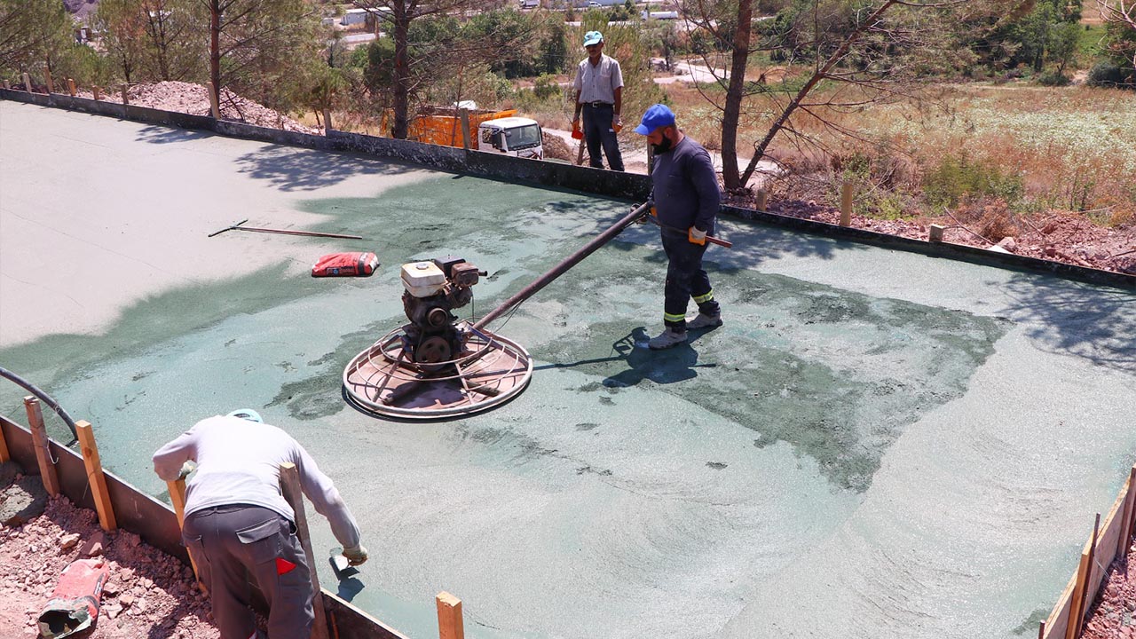 Yalova Ciftlikkoy Belediye Dogal Yasam Alani Barinak Sokak Hayvan (2)