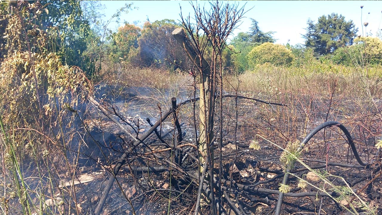 Yalova Ciftlikkoy Itfaiye Yangin Mudahale Belediye Gizli Felaket (1)