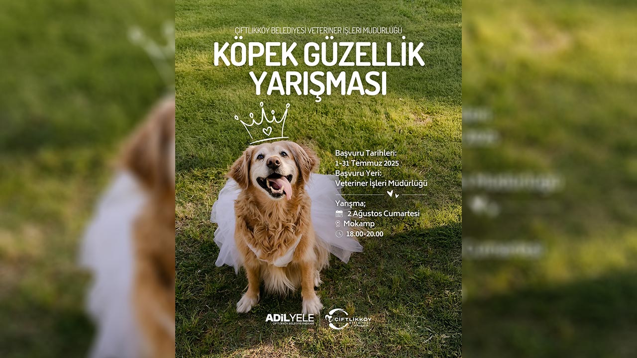Yalova Ciftlikkoy Kopek Yarismasi