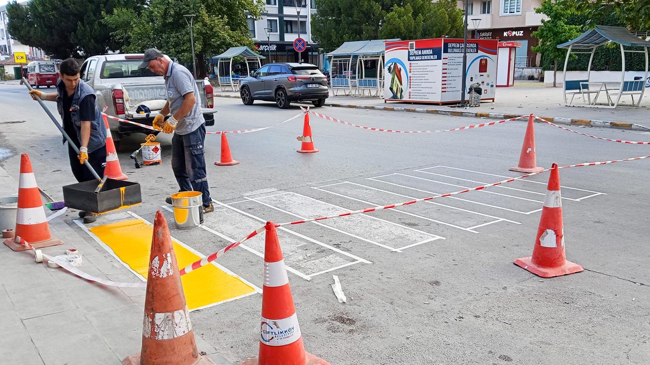 Yalova Ciftlikkoy Yaya Gecit Yenileme (3)
