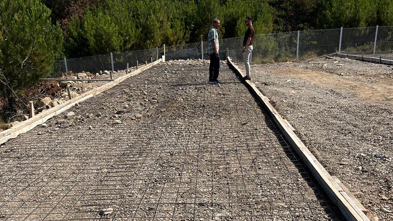Yalova Cinarcik Sokak Hayvan Sicak Yuva (1)