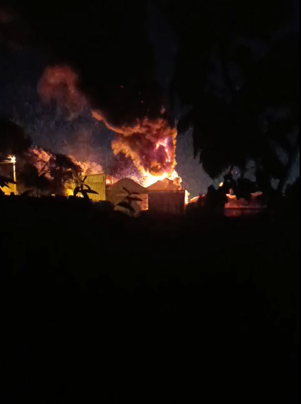 Yalova Çınarcık Tarım Işletme Yangın (2)
