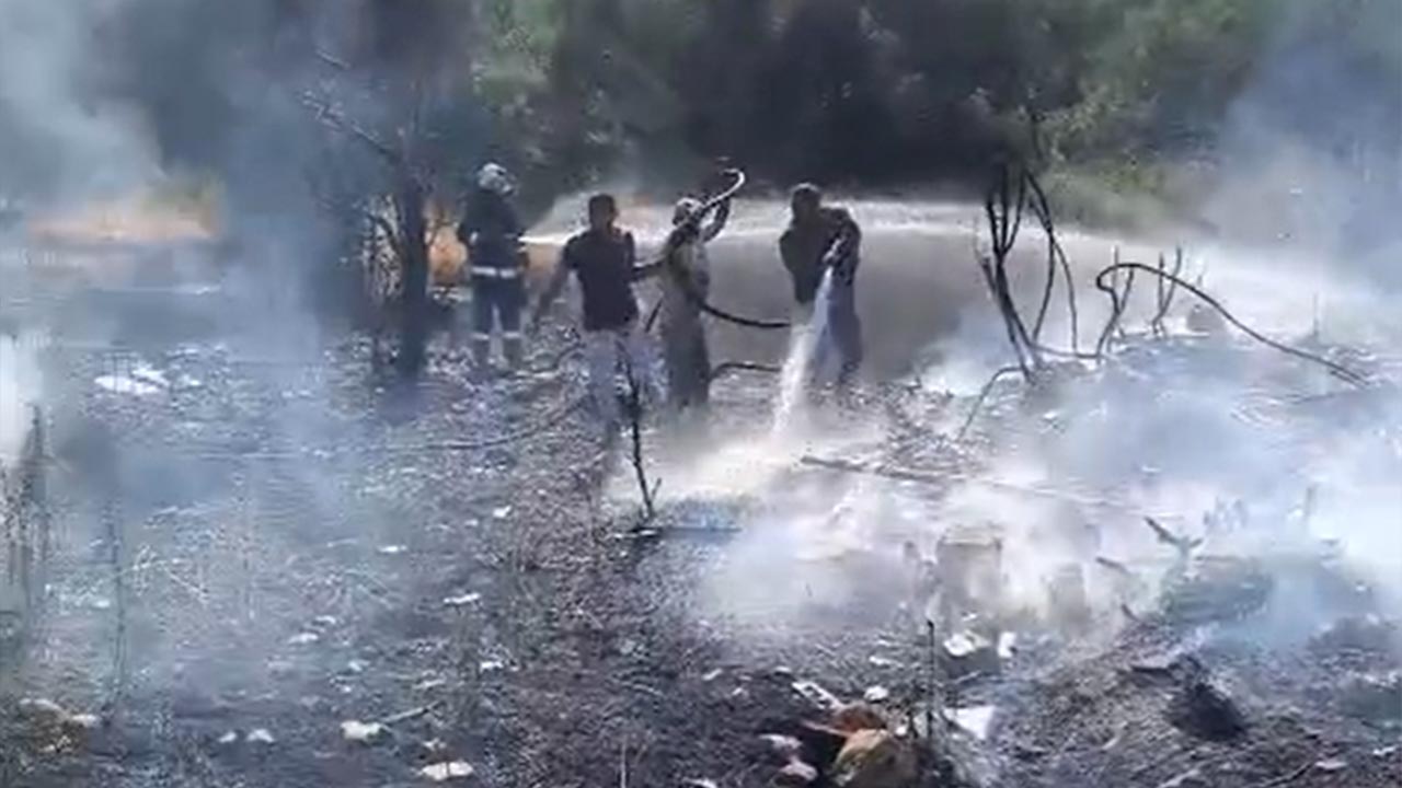 Yalova Cinarcik Tesvikiye Zeytinlik Yangin(2)