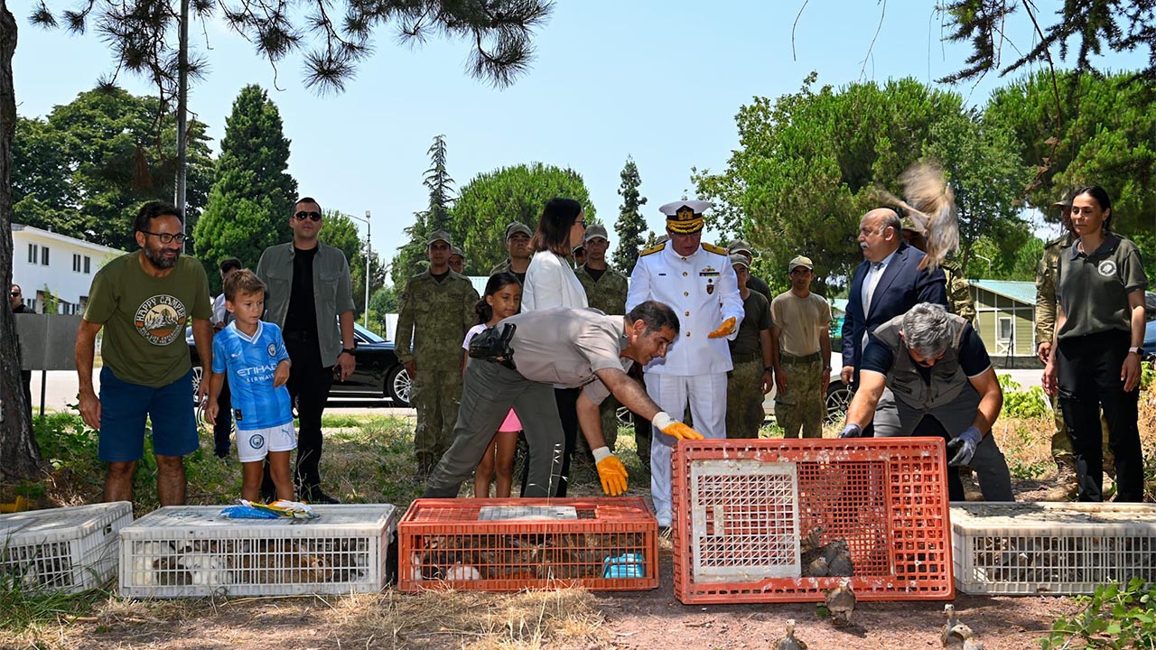 Yalova Doga Keklik Salindi (2)