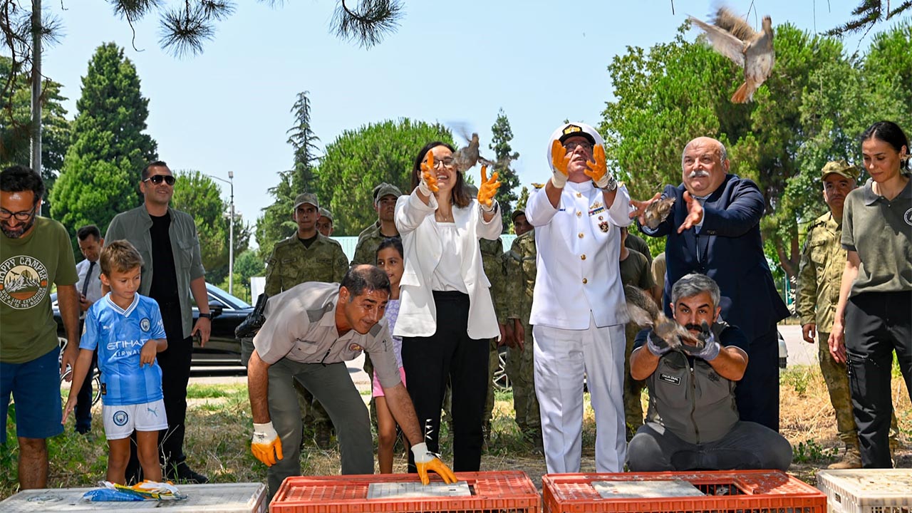 Yalova Doga Keklik Salindi (3)