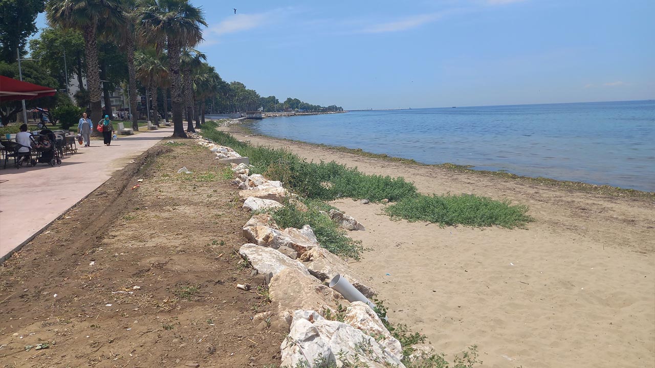 Yalova Iyi Parti Teskilat Uye Candir Akasya Plaj Yosun Elestiri (1)