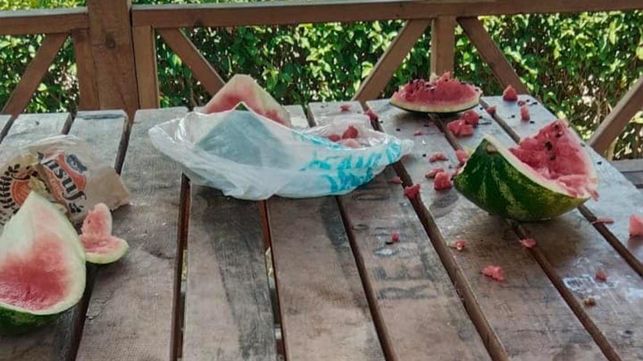 Yalova Subasi Denizgoren Kamelya Cop Baskan Mesaj Sosyal Medya (2)