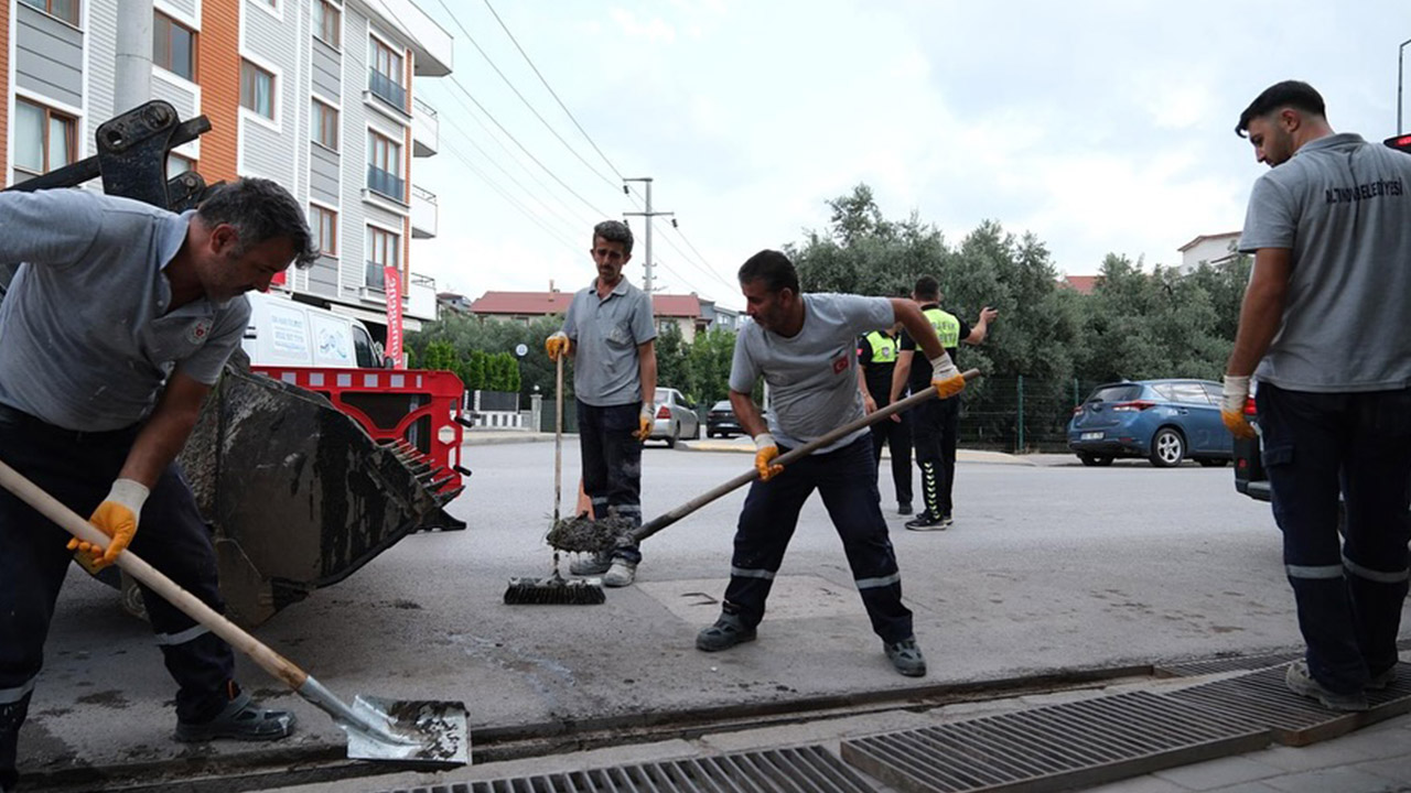 Altınova’da Mazgallar Temizlendi (2)