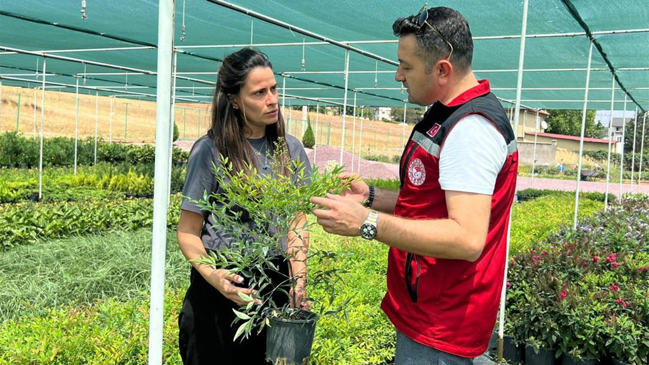 Müdür İlmeç Süs Bitkileri İşletmesini Ziyaret Etti (1)