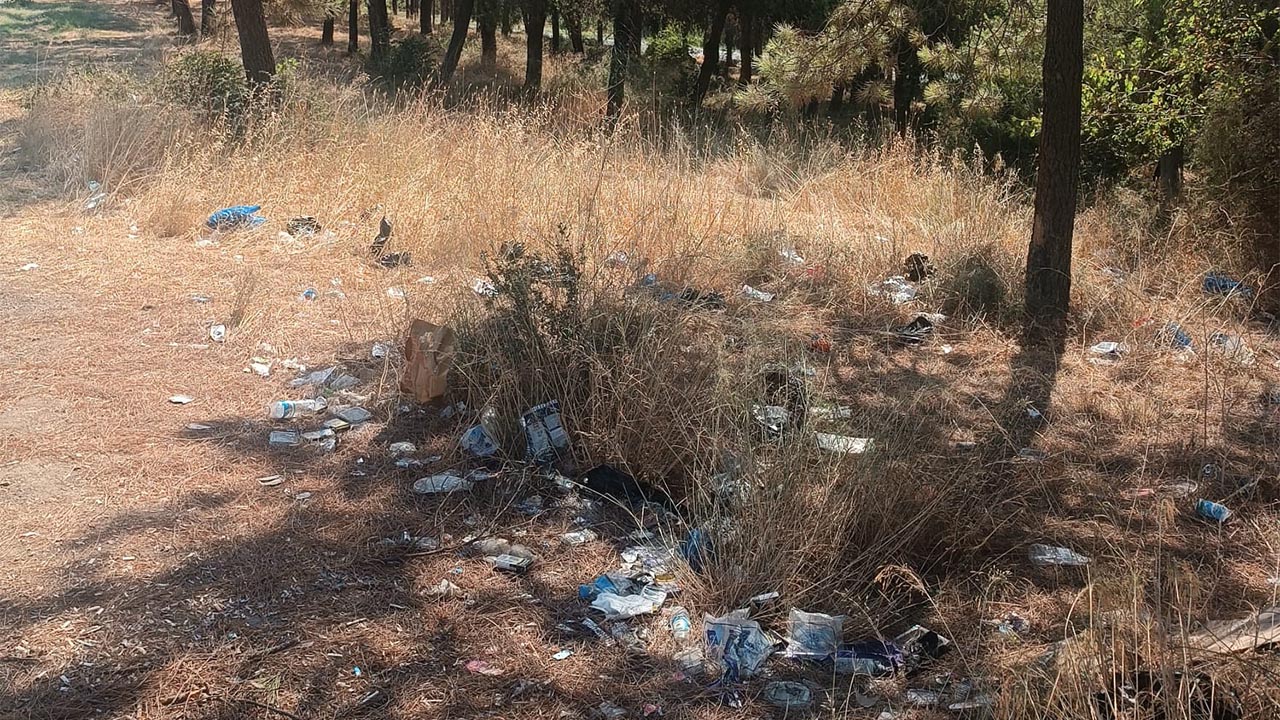 Subaşı’nda Okul Yolu Temizlendi (1)