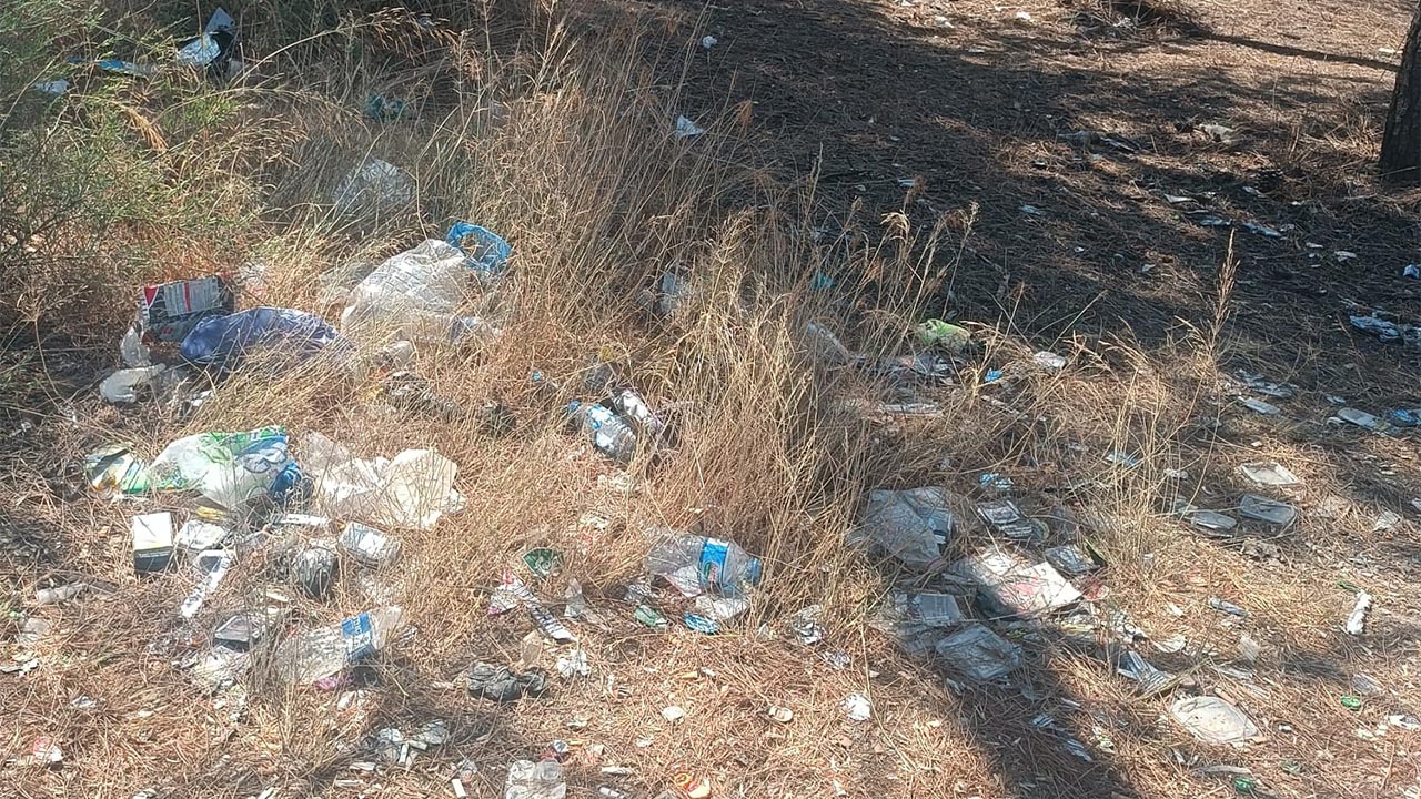 Subaşı’nda Okul Yolu Temizlendi (4)