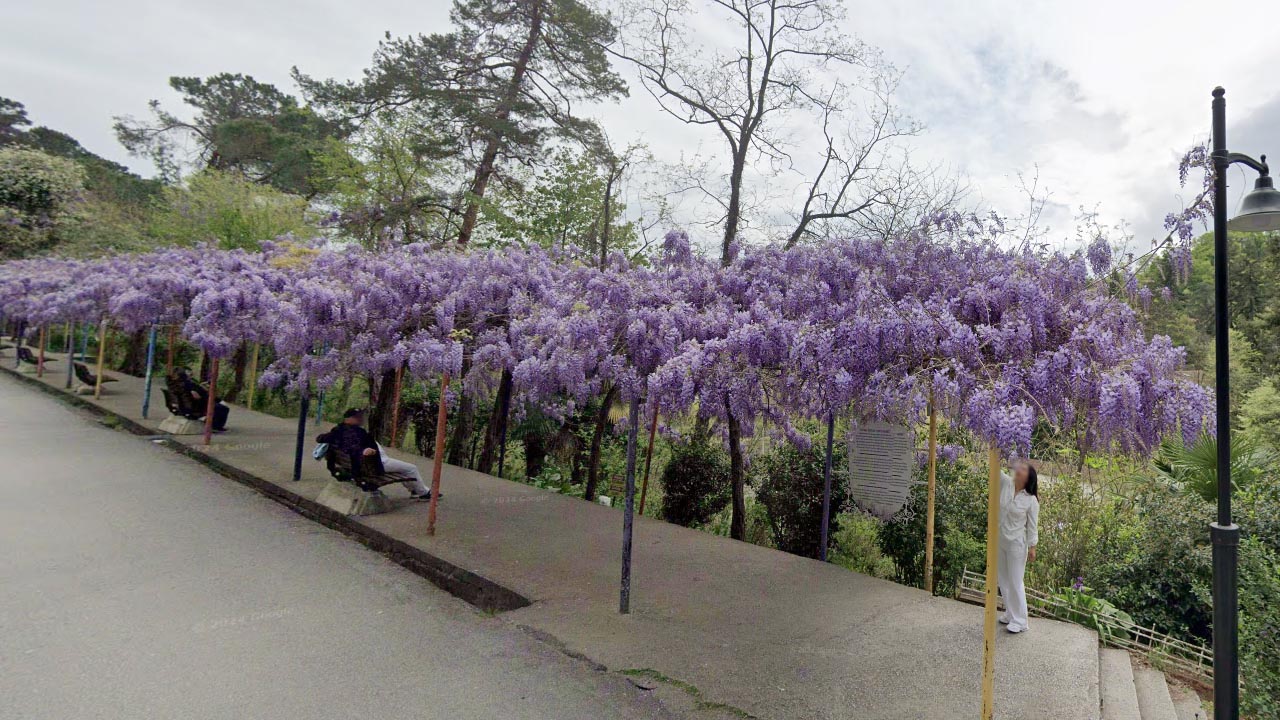 Yalova Termal Kaplica Tarihi Yuruyus (2)
