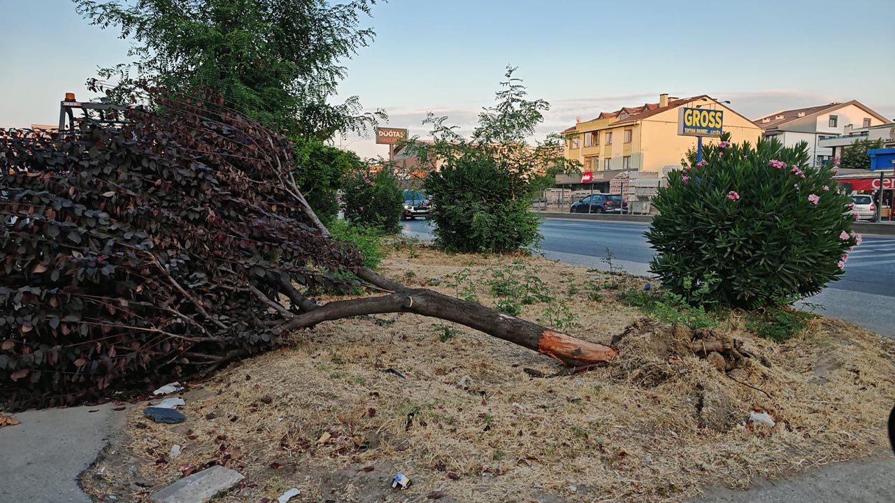 Vandallar Çi̇ftli̇kköy'deki̇ Parklara Zarar Verdi̇ (3)