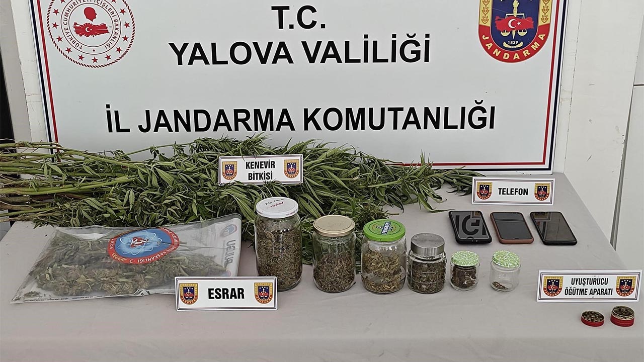 Yalova Altinova Karadere Koy Yasa Disi Kenevir Polis Yakalama Narkotik Gozalti (1)
