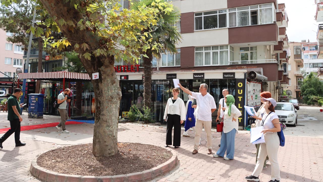 Yalova Anit Agac Koruma (2)