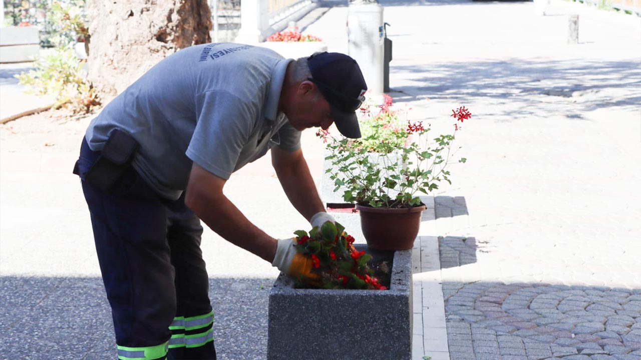 Yalova Belediye Sehir Cicek Duzenleme (4)