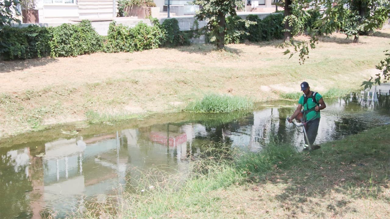 Yalova Belediyesi Park Bahceler Birim Yabani Ot Temizlik (2)