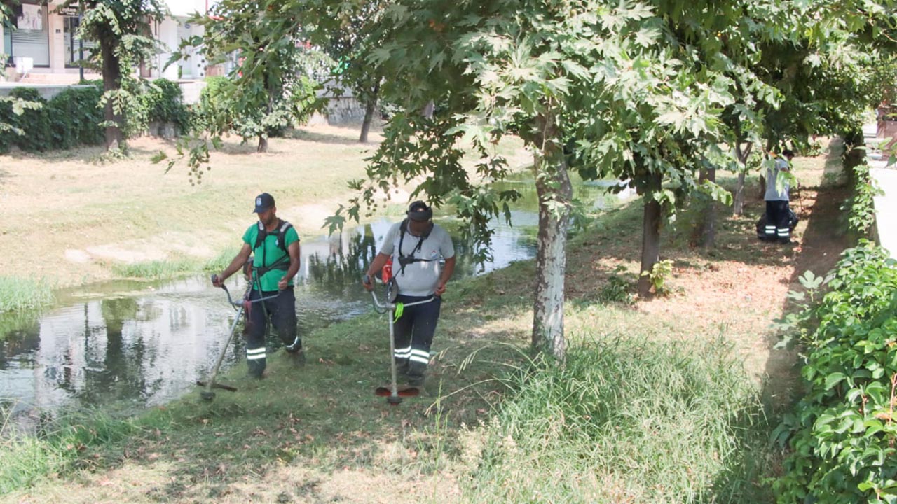 Yalova Belediyesi Park Bahceler Birim Yabani Ot Temizlik (3)
