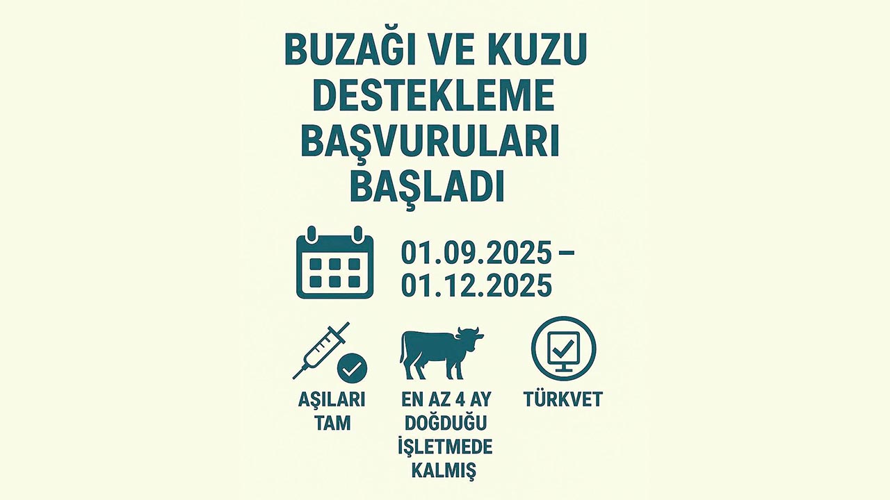 Yalova Buzagi Kuzu Destek Basvuru (1)