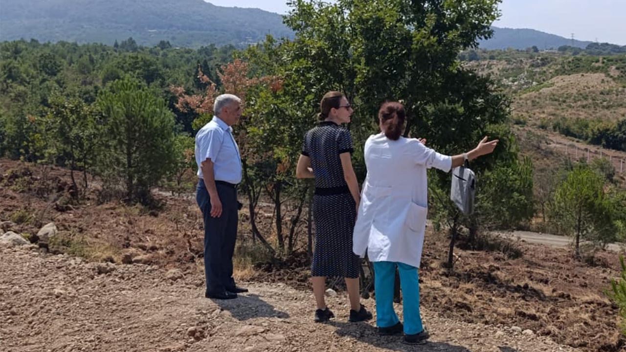 Yalova Cinarcik Belediyesi Sokak Hayvan Yasam Alan Calisma (3)