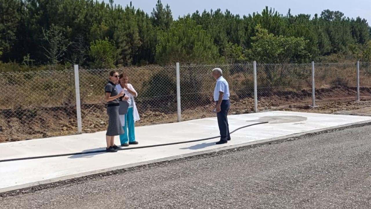 Yalova Cinarcik Belediyesi Sokak Hayvan Yasam Alan Calisma (5)