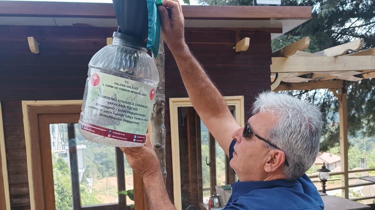 Yalova Kahverengi Kokarca Gecit Yok (2)
