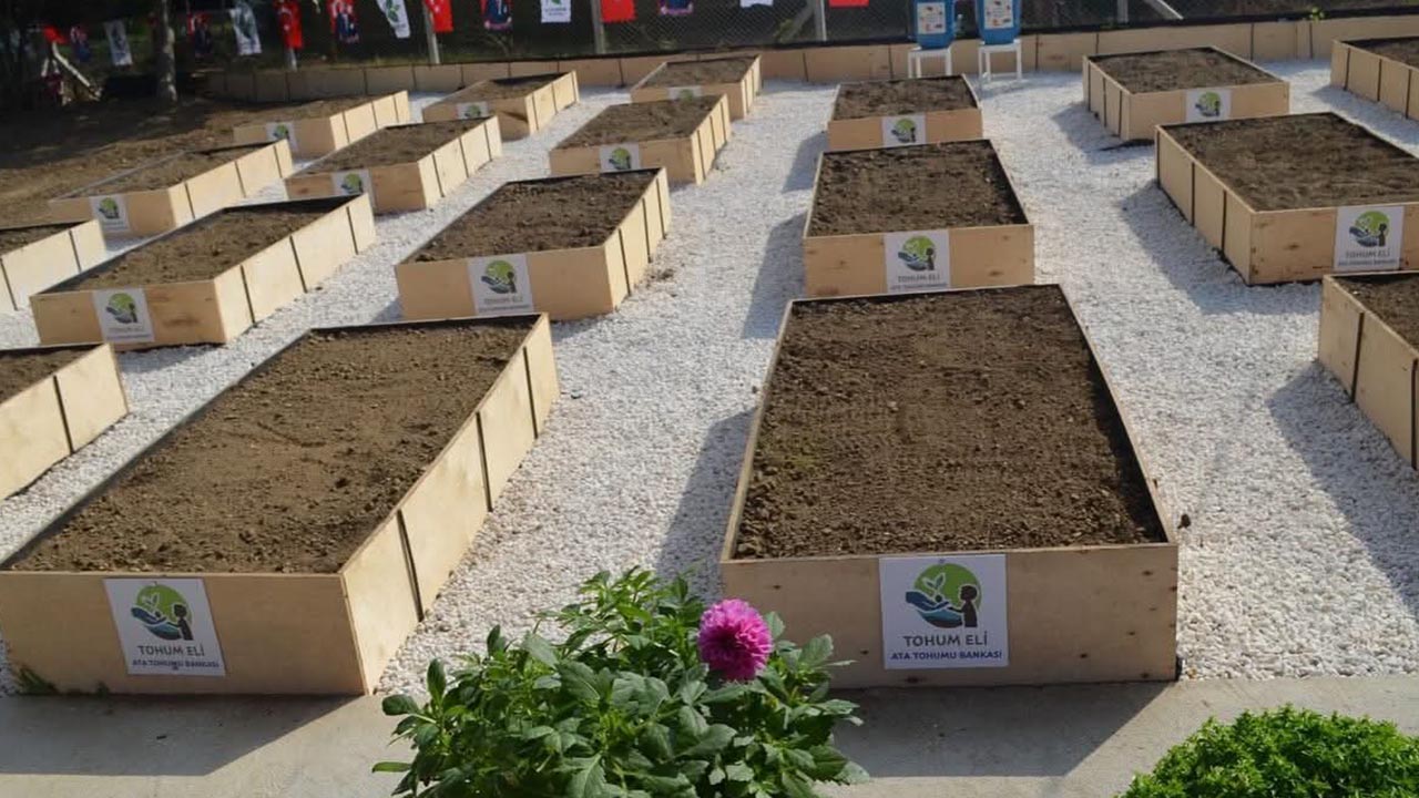 Yalova Kayatzdere Belediye Cevre Yonetimi Merkez Saralkent (5)