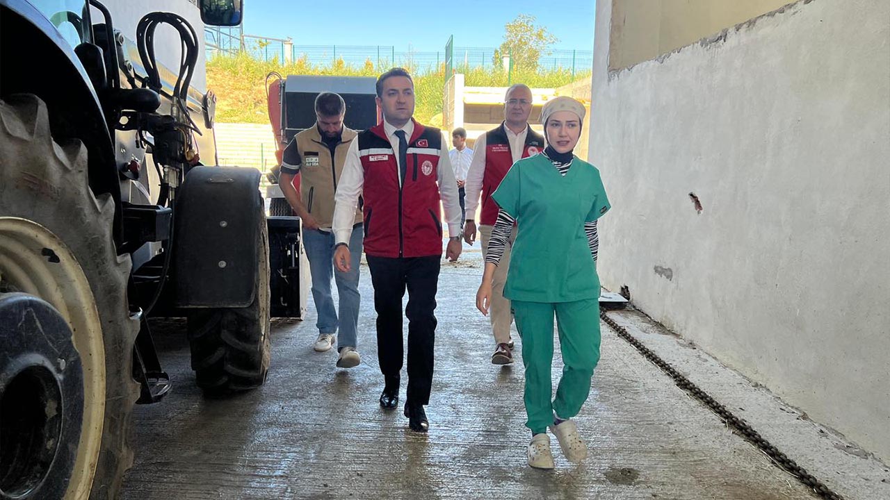 Yalova Kirsal Kalkinma Destek Meyve (2)