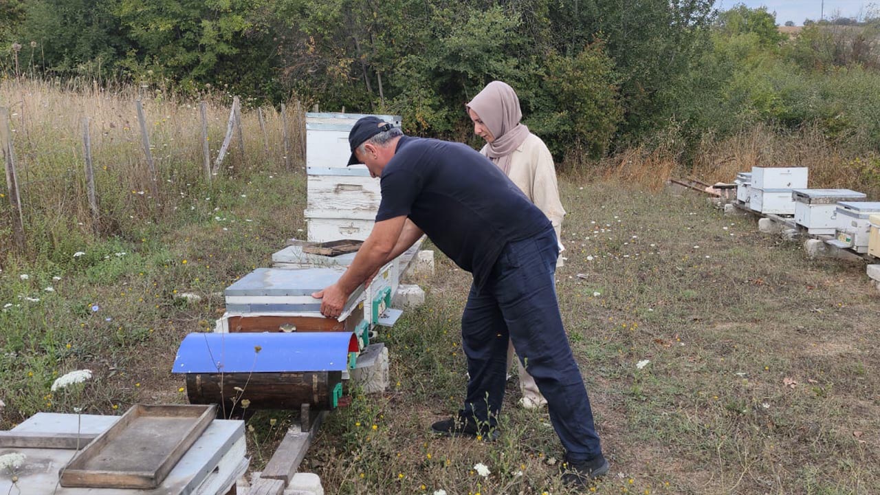 Yalova’da Bal Kalitesi İçin Referans Numune Çalışmaları Başladı (3)