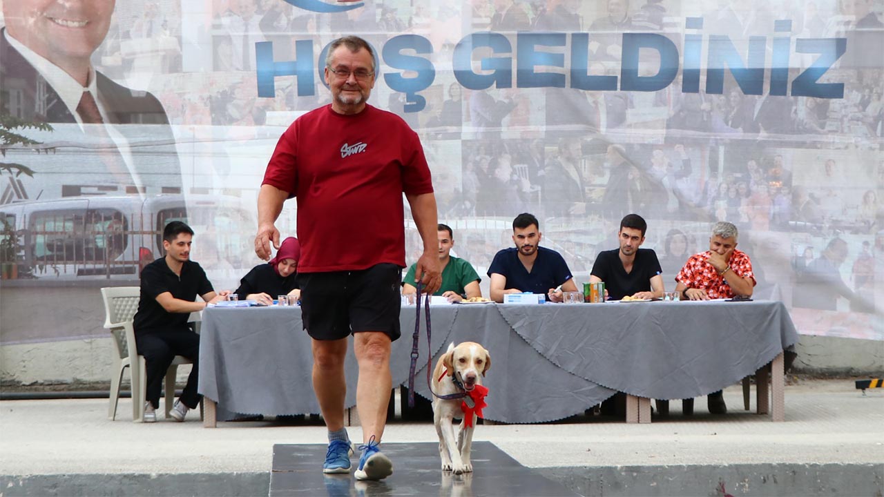 Yalova’nın En Güzel Köpekleri Seçildi (1)