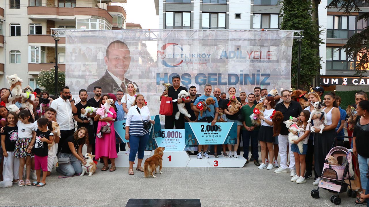Yalova’nın En Güzel Köpekleri Seçildi (5)