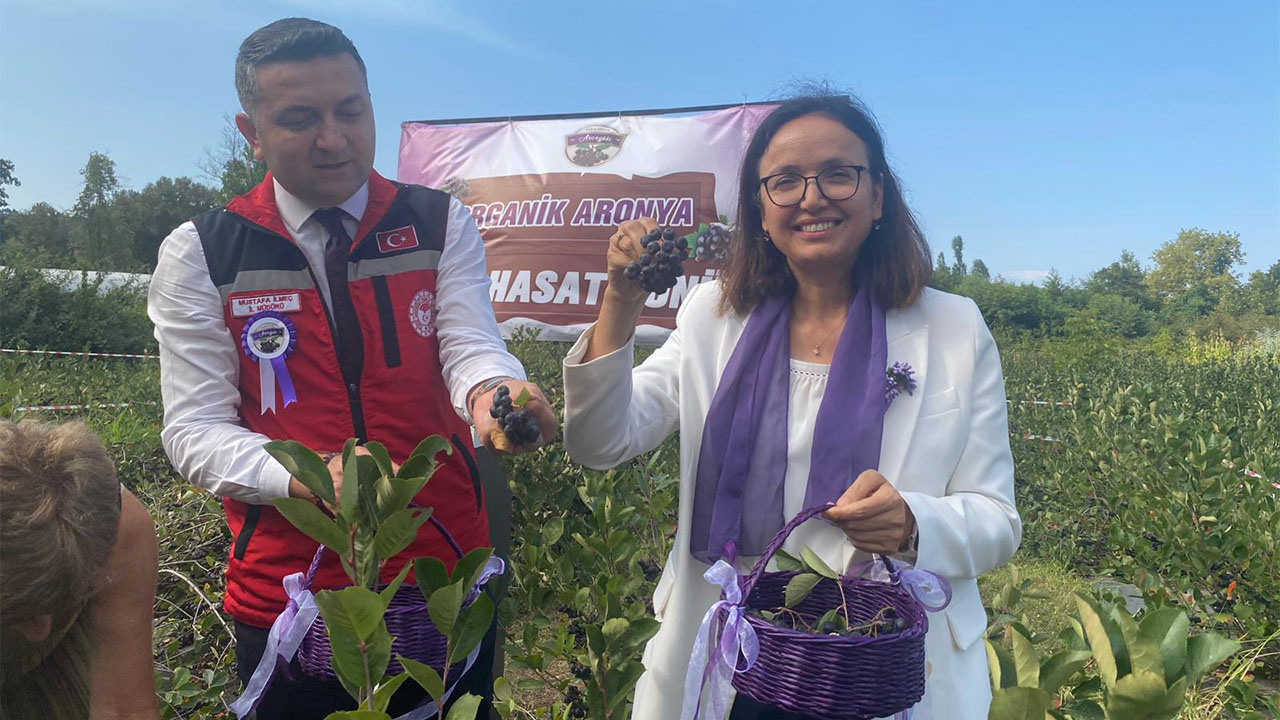 Yalova Aronya Hasat Ortaburun Vali Hulya Kaya Milletvekili Meliha Akyol (1)
