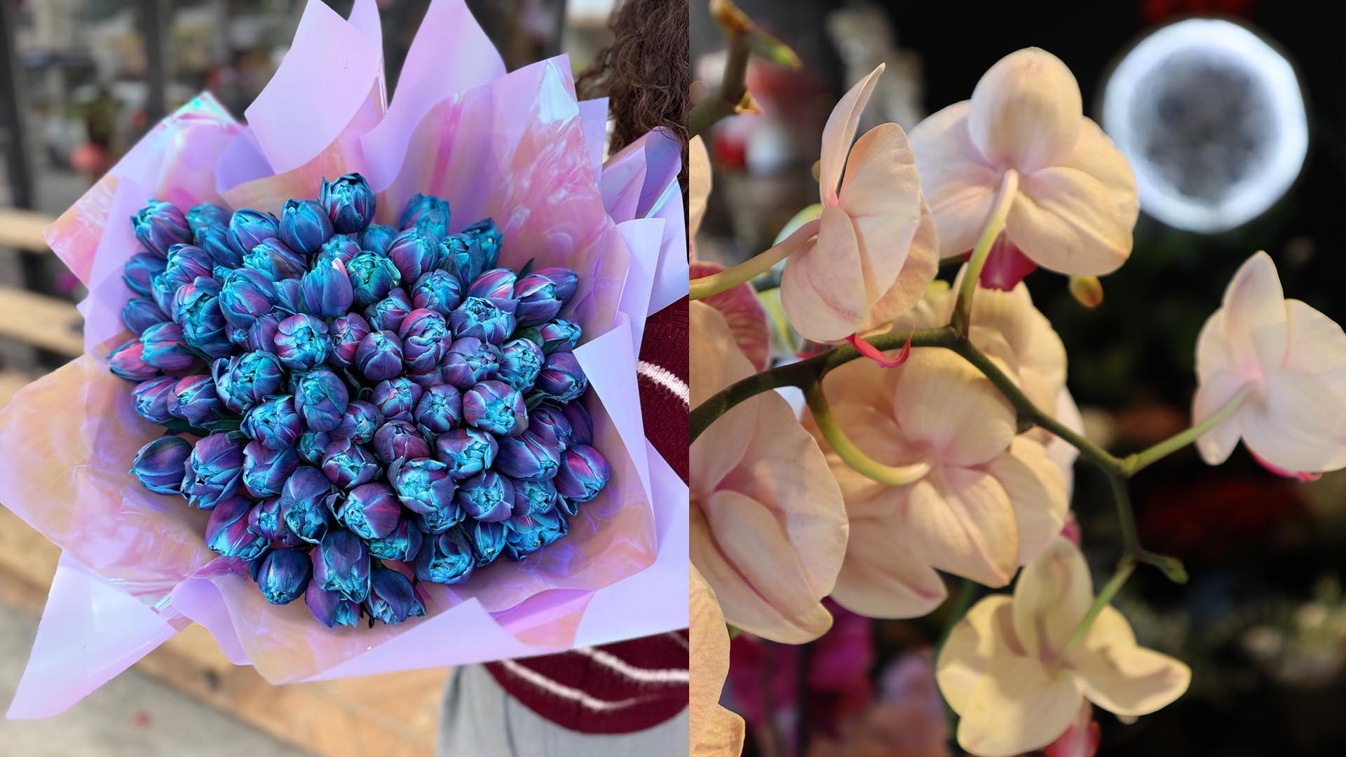 Moon Art Flowers (9)