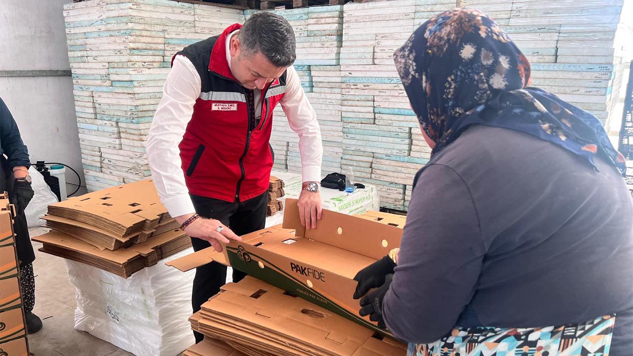 Müdürü İlmeç, Pak Fide Üretimini Yerinde İnceledi (3)