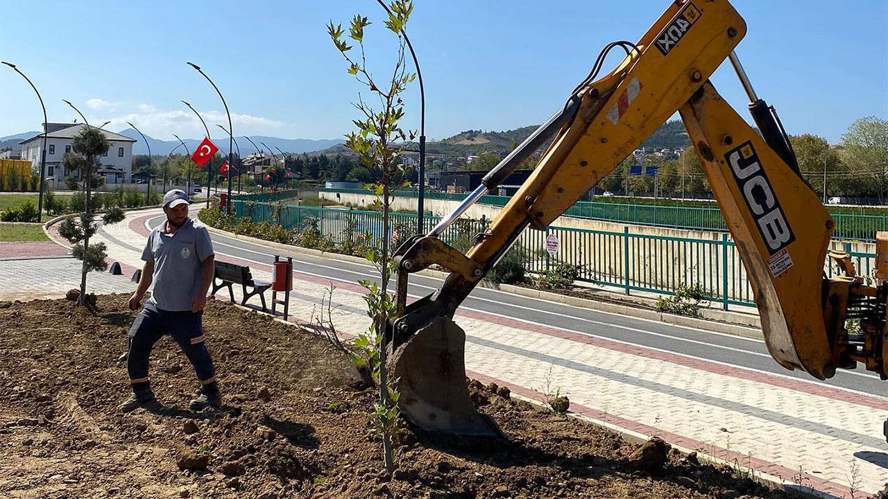 Özden Mahallesi Yeşilleniyor (3)
