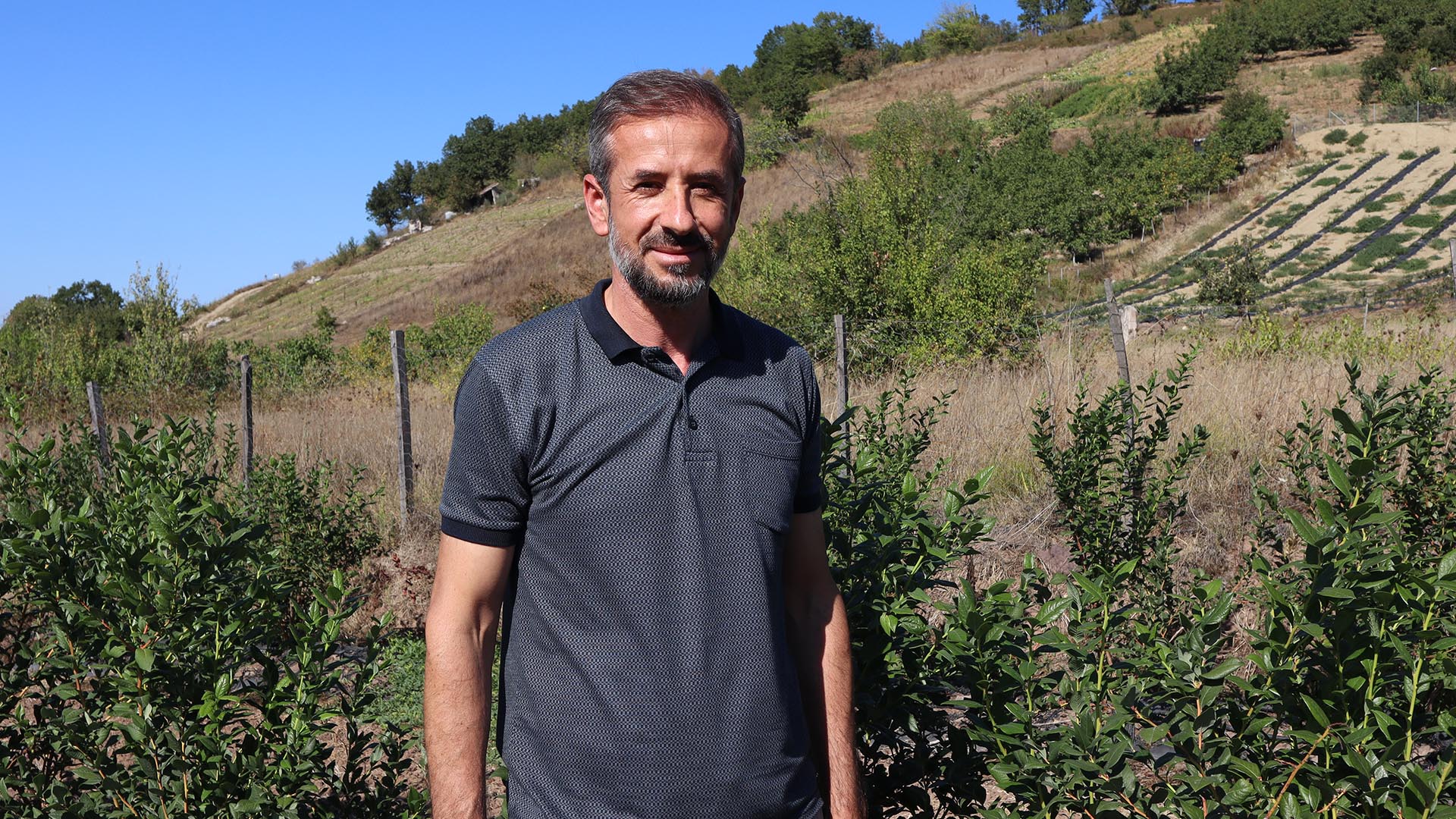Sermayecik Maviyemiş