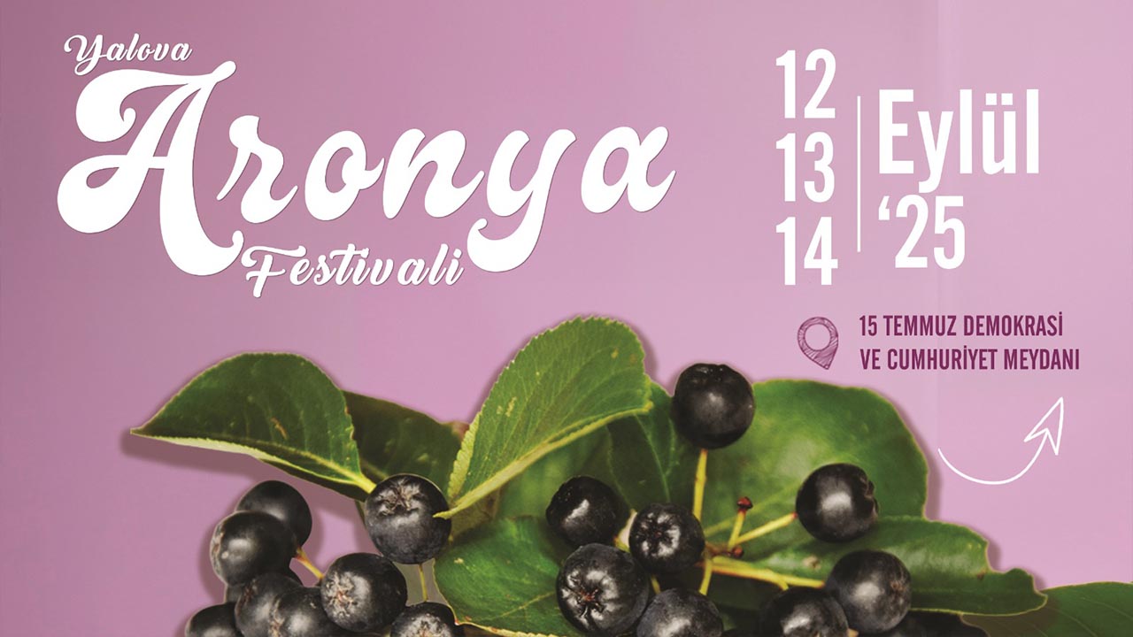 Yalova Aronya Festival Cumhuriyet Meydan (2)