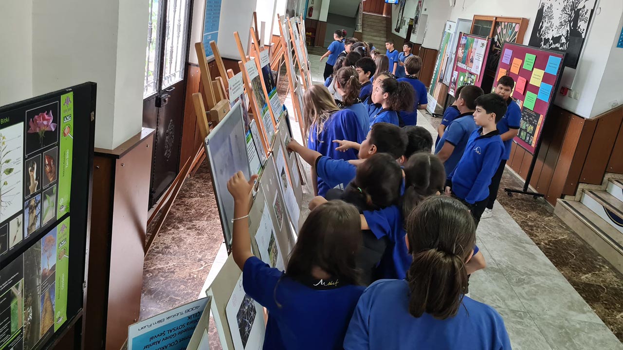 Yalova Mehmet Akif Ortaokul Sergi Ogrenci Kultur (3)