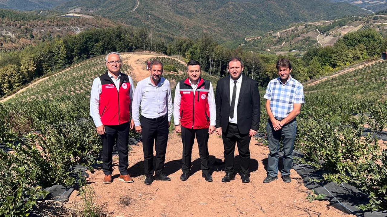 Yalova Altinova Tarimsal Inceleme (3)