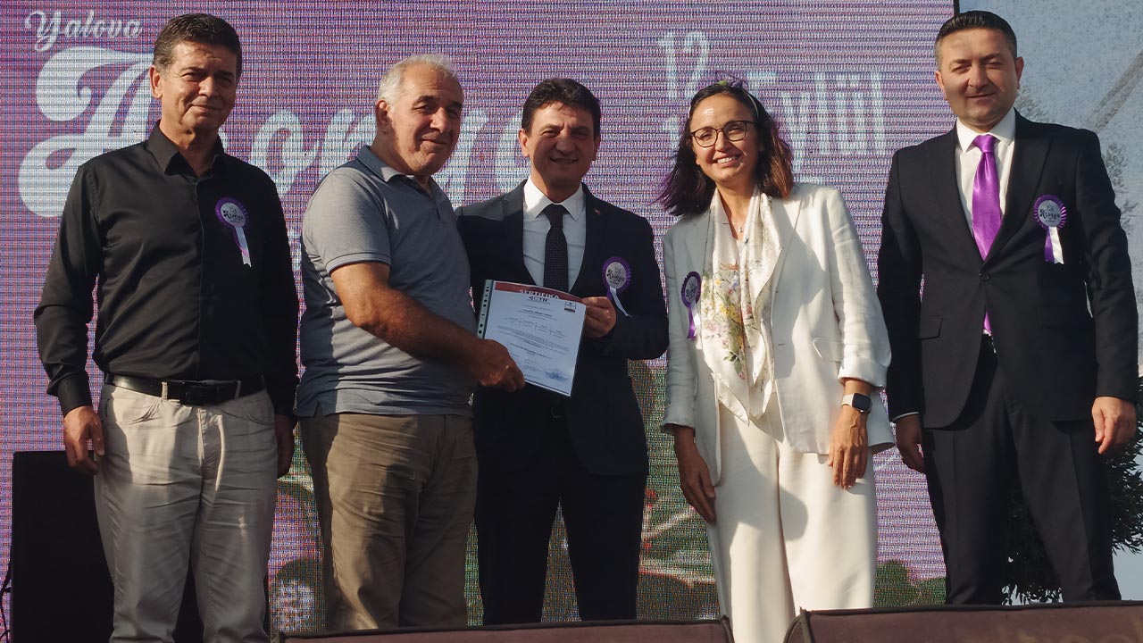 Yalova Aronya Festivali Renkli Görüntülerle Başladı (5)