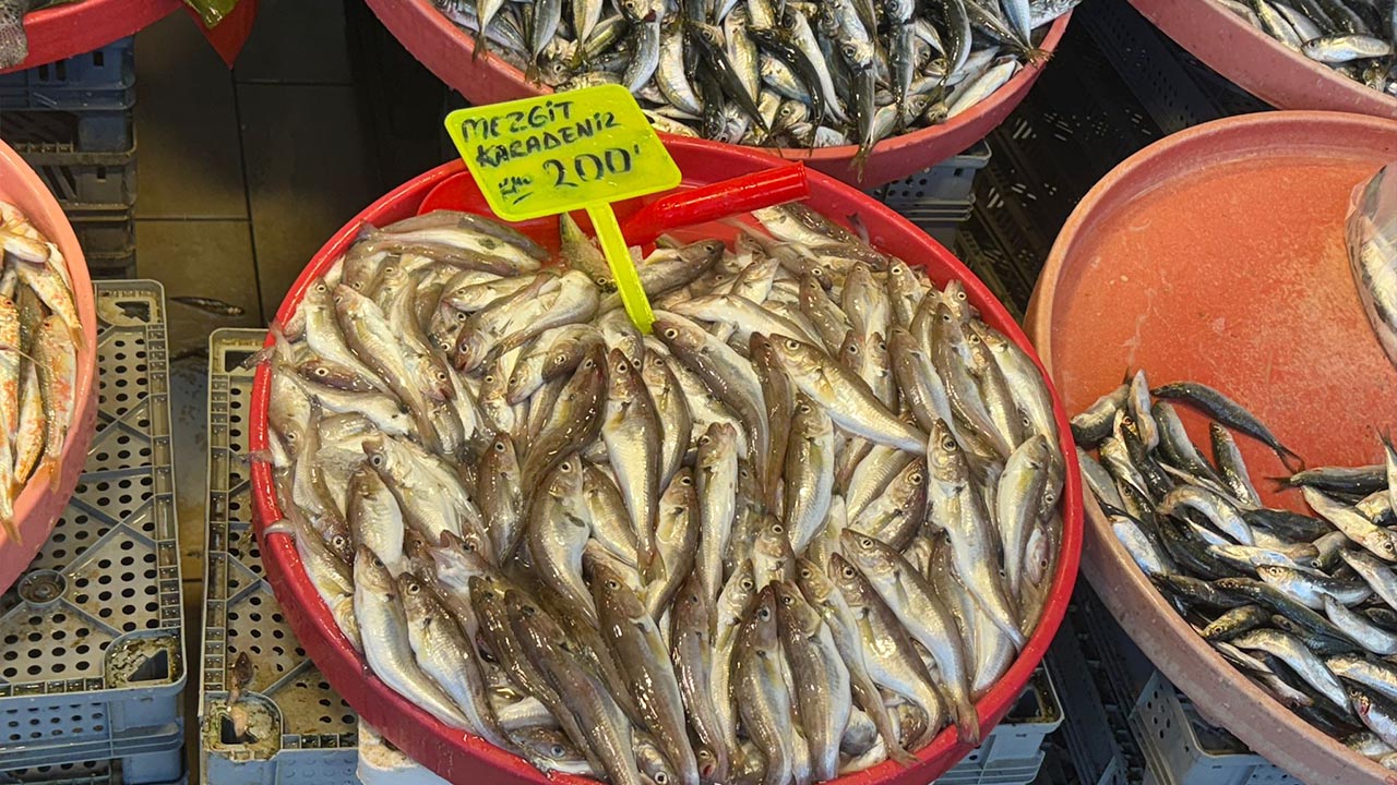 Yalova Balik Fiyat Pazar (4)