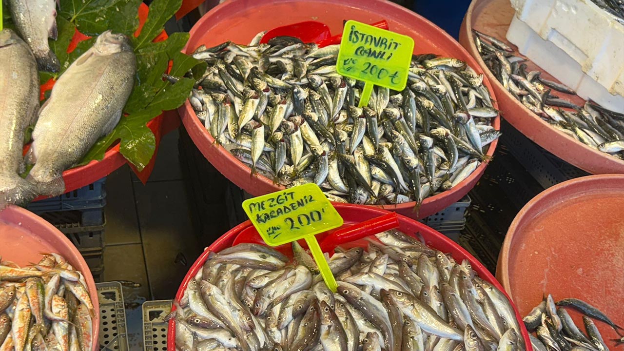 Yalova Balik Fiyat Pazar (5)