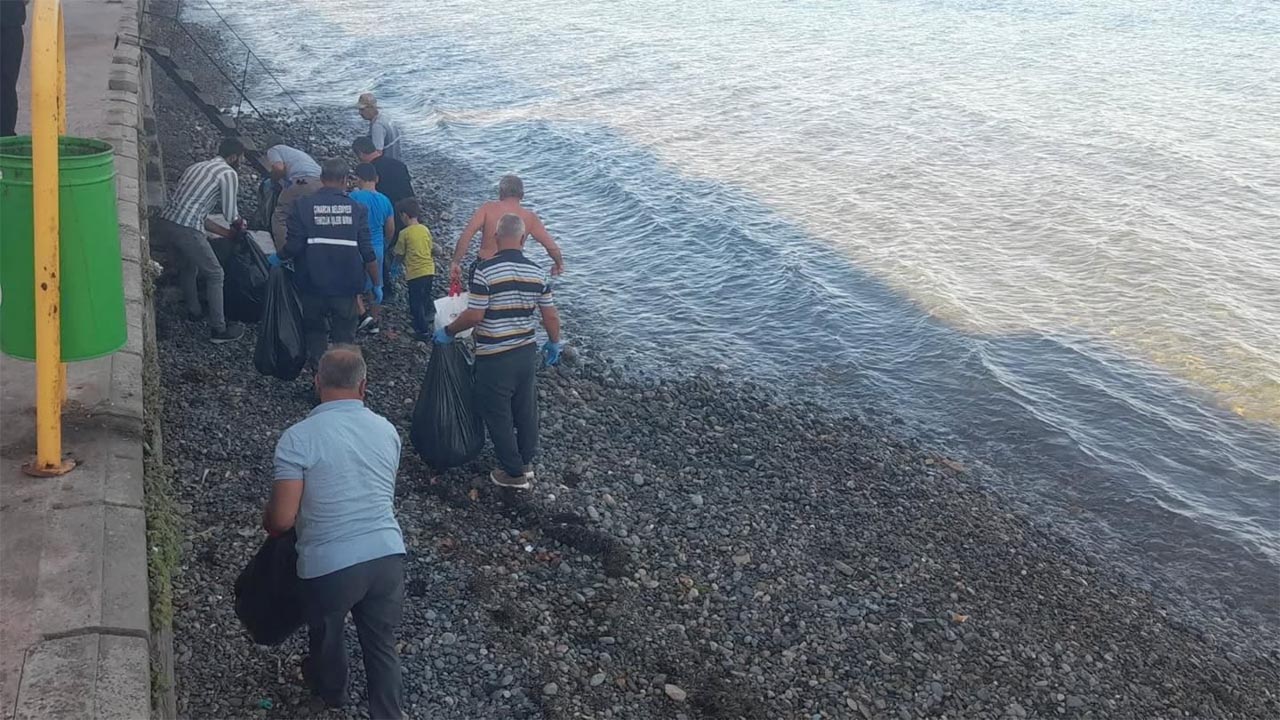 Yalova Cinarcik Temizlik Gunu Sahil (2)