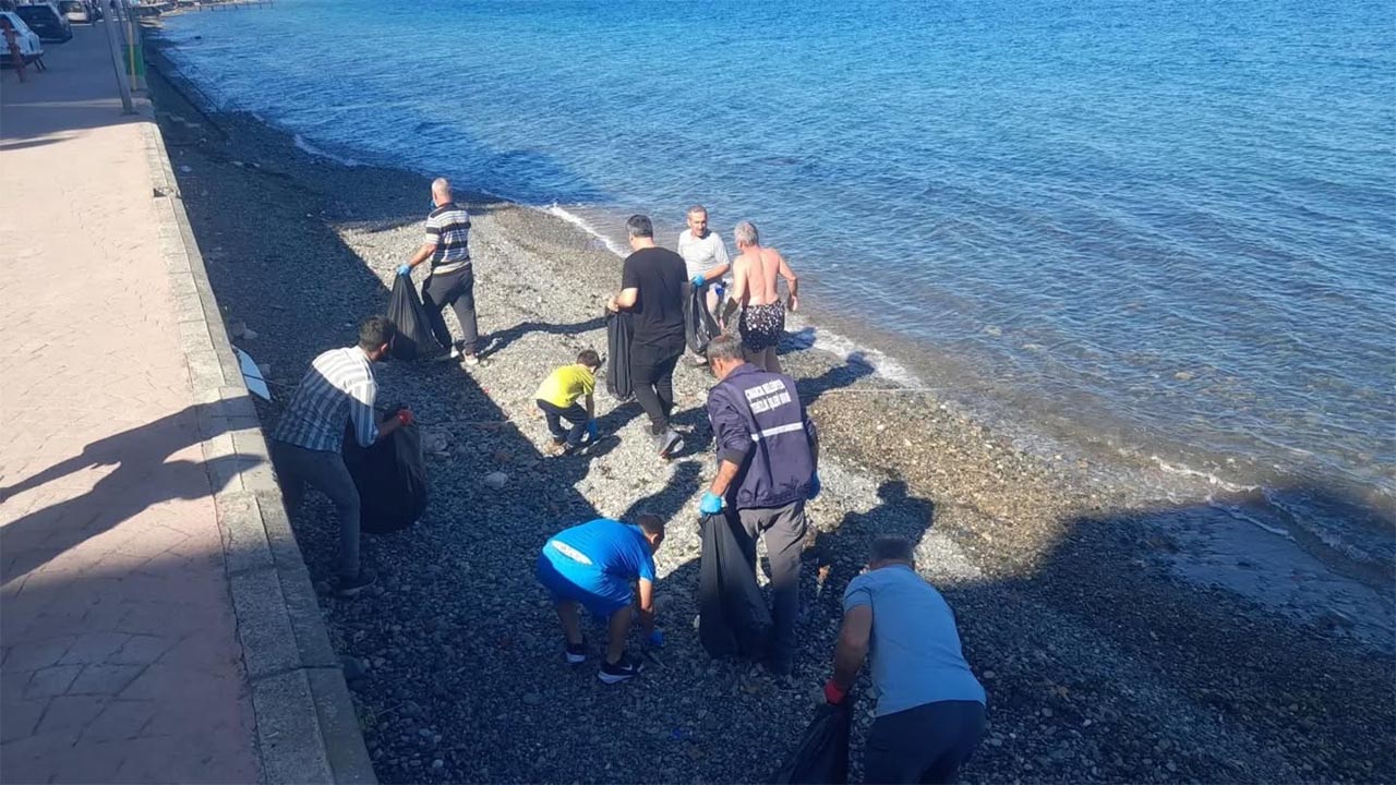 Yalova Cinarcik Temizlik Gunu Sahil (3)