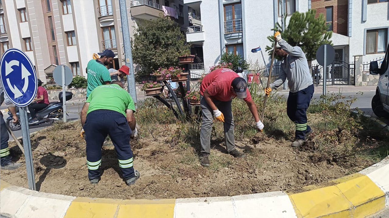 Yalova Kurakcil Peyzaj Calisma (3)
